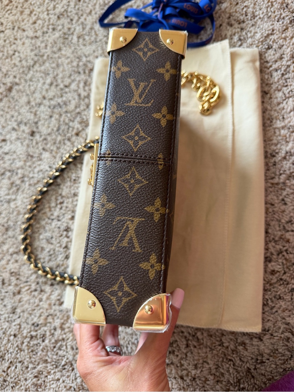 Louis Vuitton Trunkie East West. NWT!!! - Picture 7 of 15